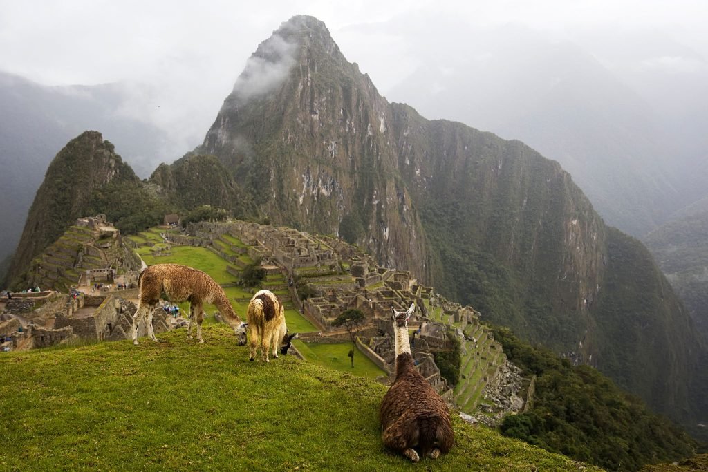 Machu Picchu