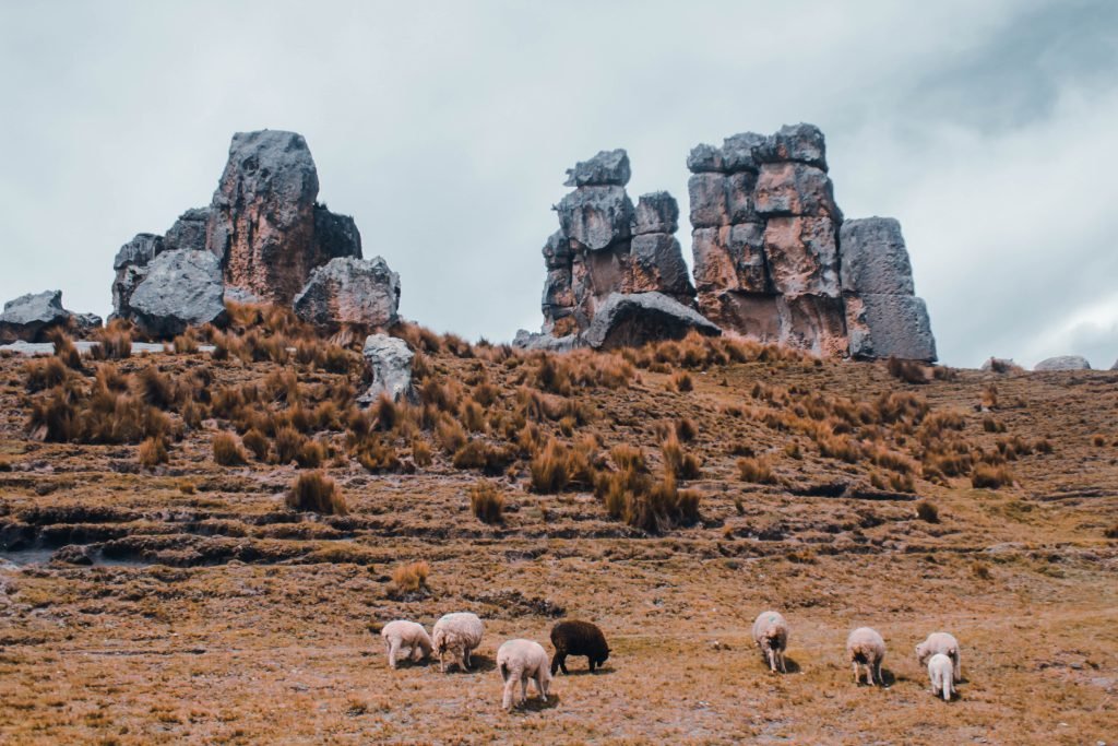 Bosque de Pedras de Huayllay