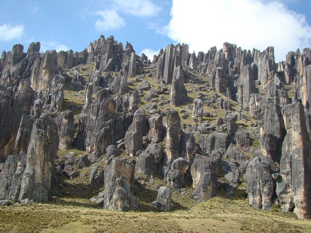 Bosques de Pedra do Peru