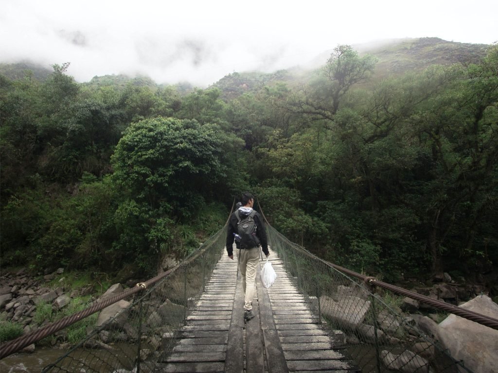 natureza: Hiking vs Trekking