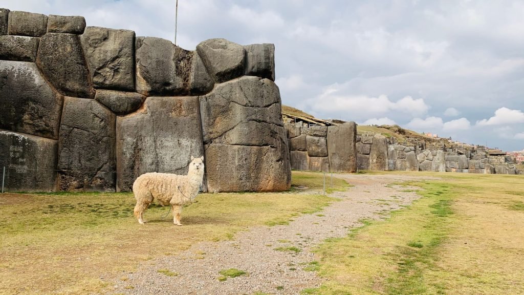 Sacsayhuaman - Cusco